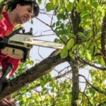 what is tree pruning